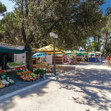 Pet Friendly In With Kitchen بيت للعطل بونات