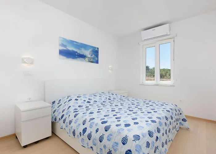 Pet Friendly In With Kitchen